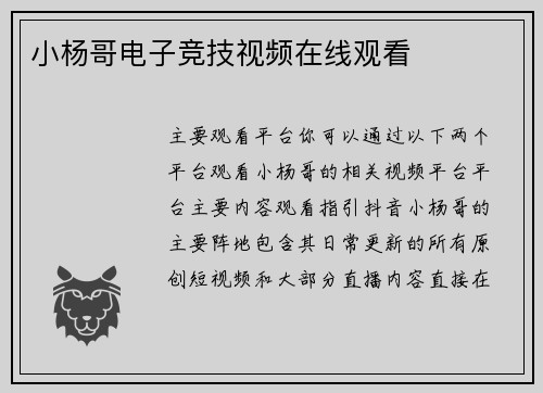 小杨哥电子竞技视频在线观看
